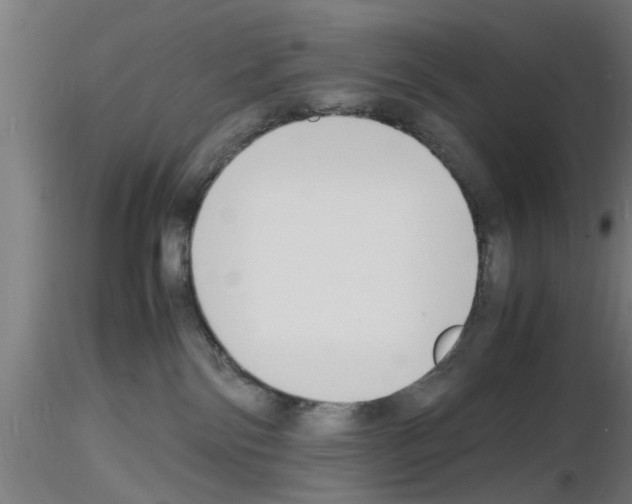 X0000116140138201001041040