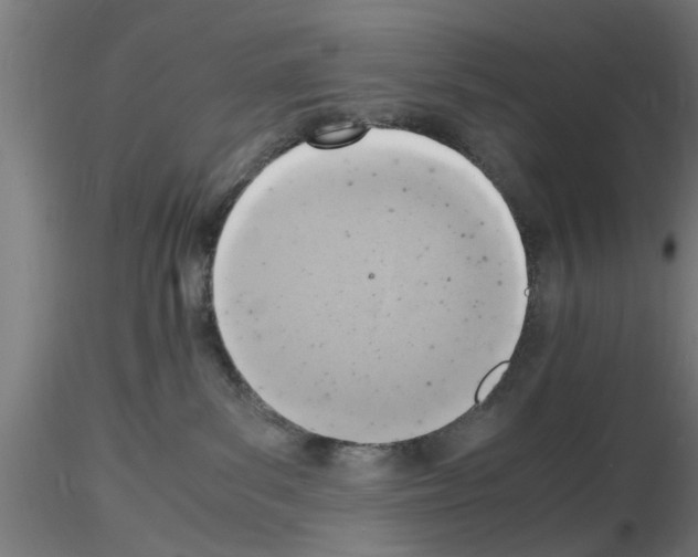 X0000116140139201001041040