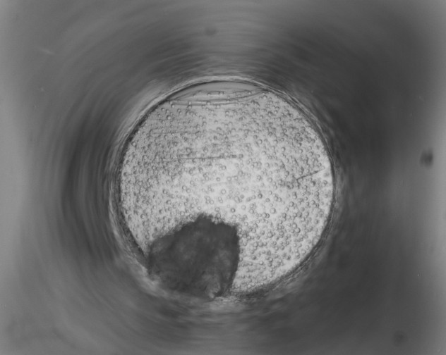 X0000116140145201001041039