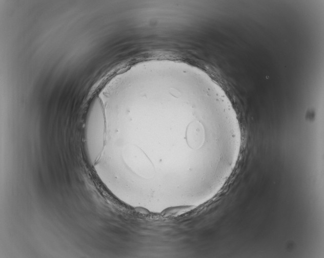 X0000116140146201001041039