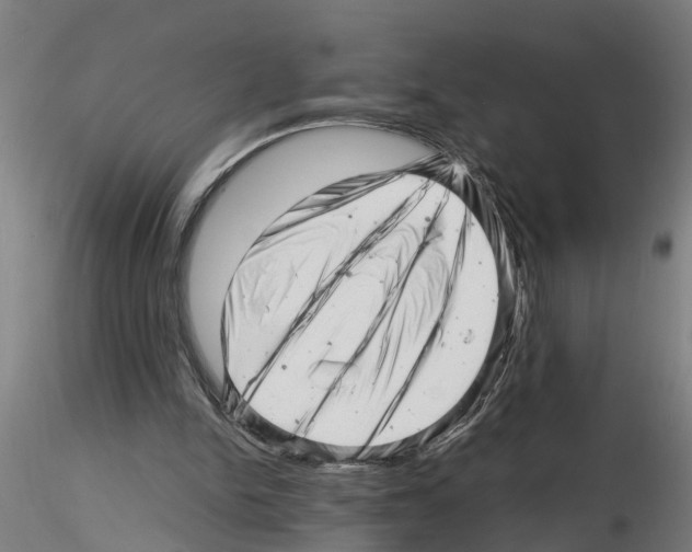 X0000116140150201001041039