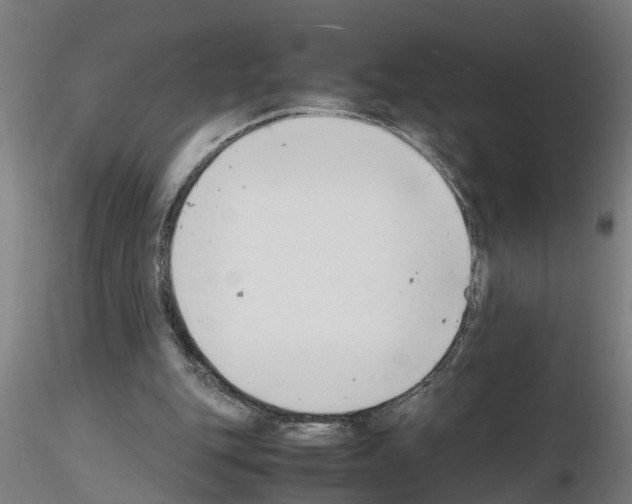 X0000116140151201001041039