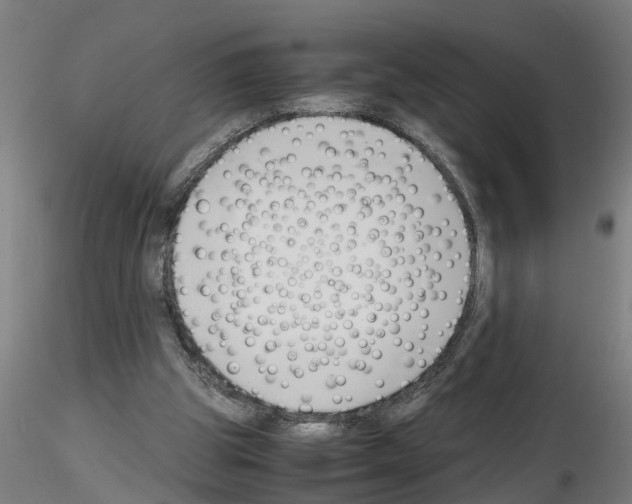 X0000116140153201001041039