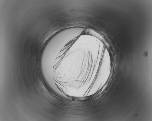 X0000116140154201001041039