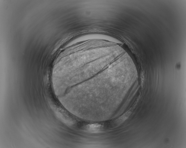 X0000116140158201001041040