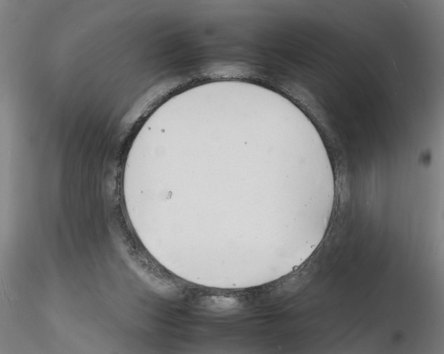 X0000116140159201001041040