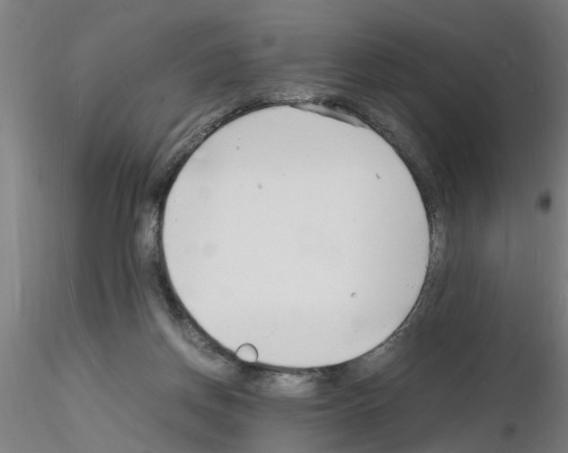 X0000116140166201001041040