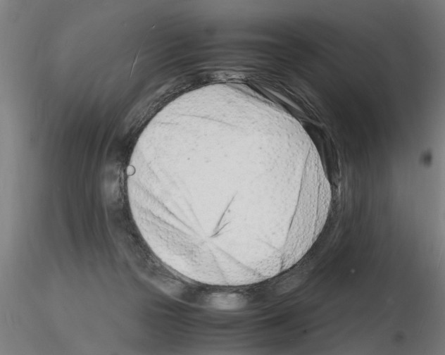 X0000116140169201001041040