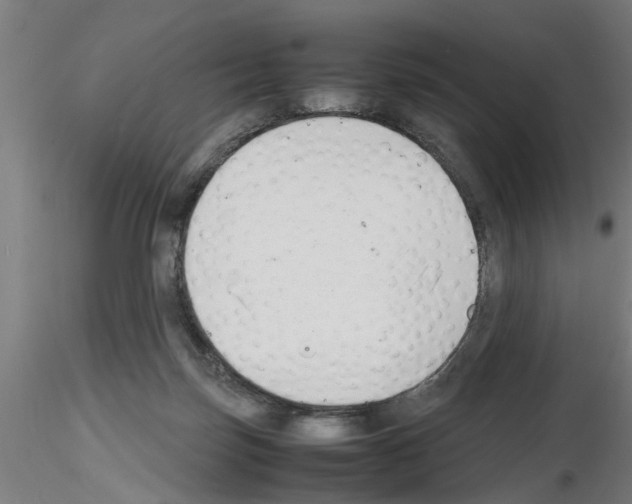 X0000116140171201001041040