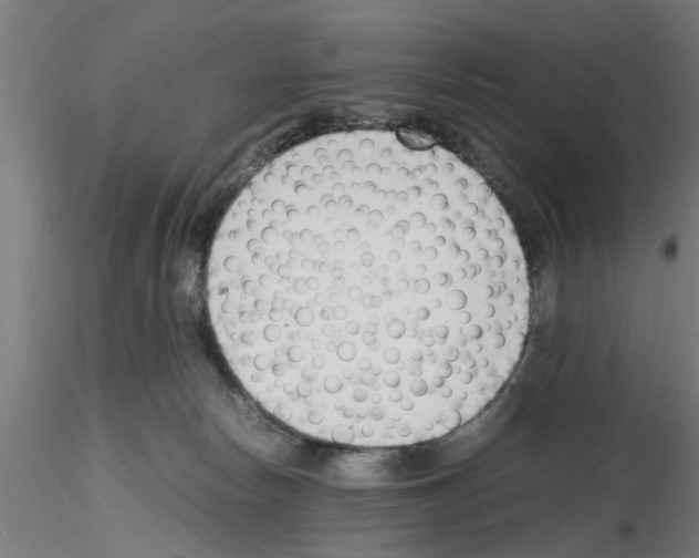 X0000116140178201001041040