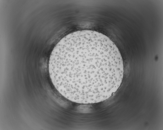 X0000116140179201001041040