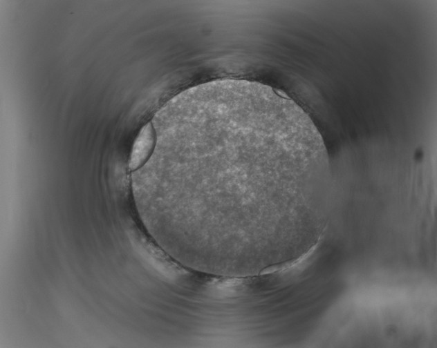 X0000116140186201001041040