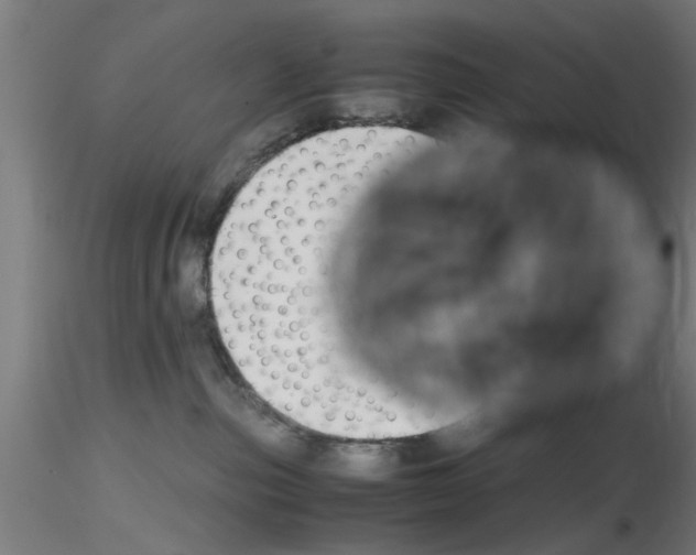 X0000116140187201001041040