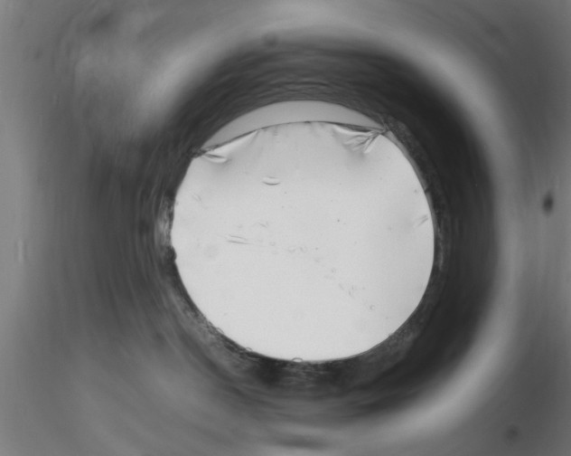 X0000116140190201001041040