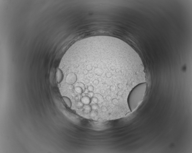 X0000116140191201001041040