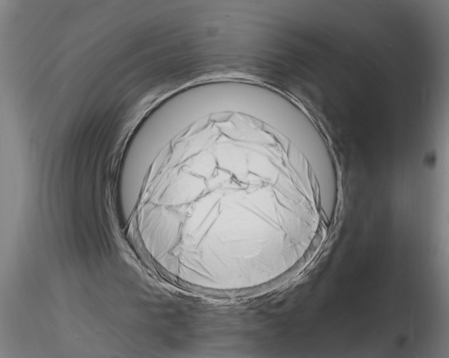 X0000116140193201001041039