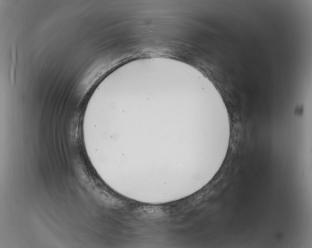 X0000116140194201001041039