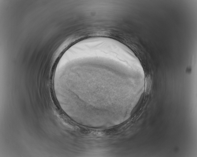 X0000116140195201001041039