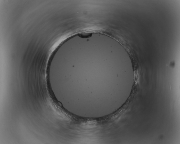 X0000116140196201001041039