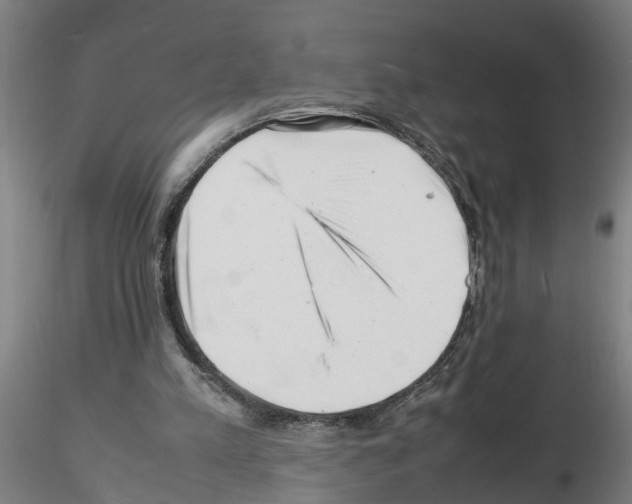 X0000116140197201001041039