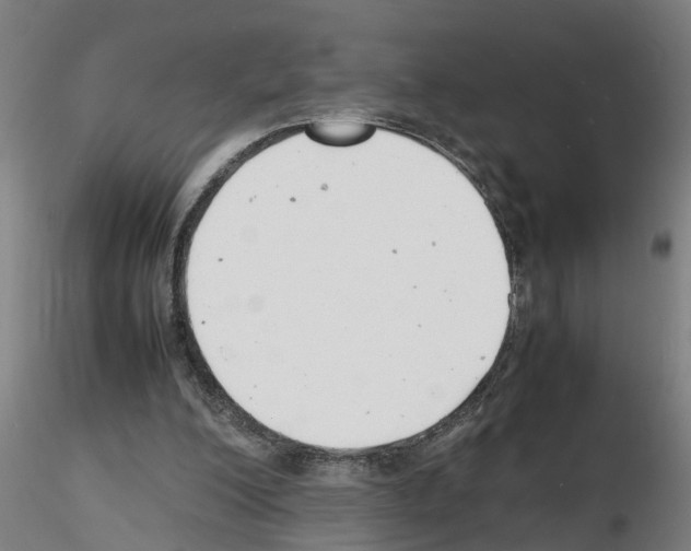 X0000116140200201001041039