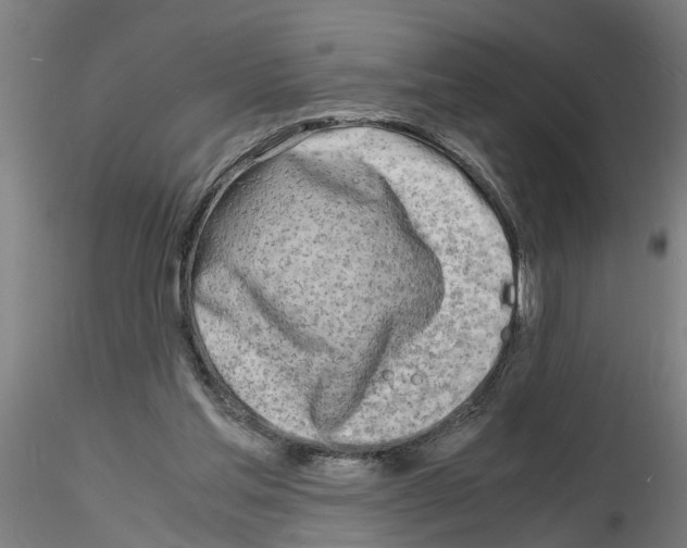 X0000116140205201001041039