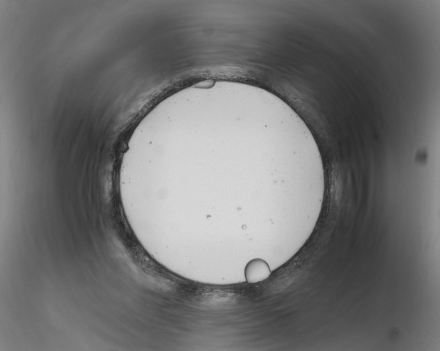 X0000116140206201001041039