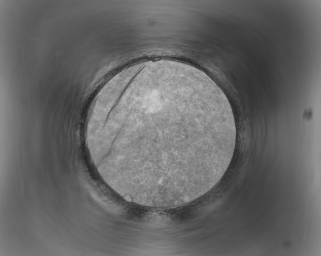 X0000116140207201001041039