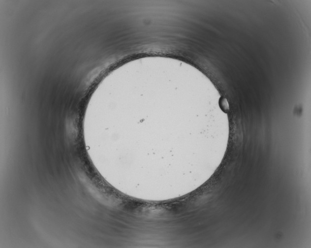 X0000116140208201001041039