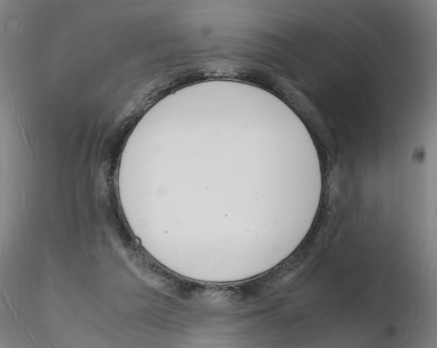 X0000116140209201001041039