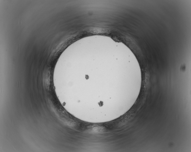 X0000116140210201001041039