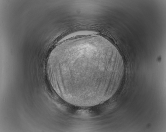 X0000116140211201001041039