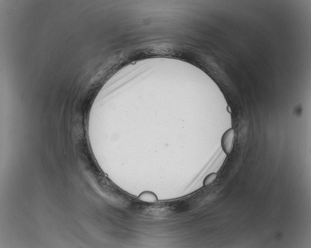 X0000116140213201001041039