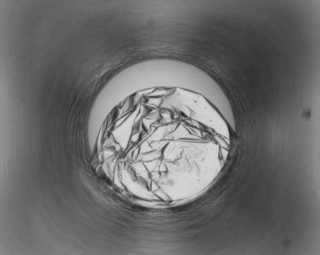 X0000116140215201001041039