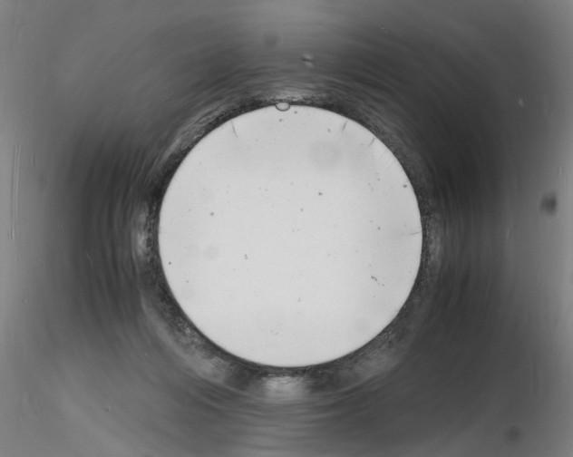 X0000116140216201001041039