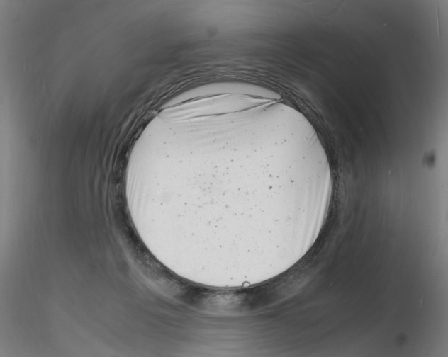 X0000116140217201001041039