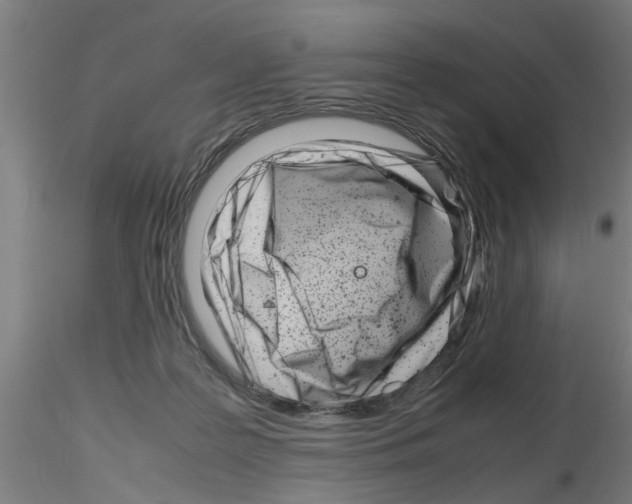 X0000116140219201001041039