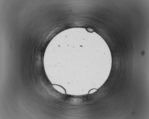 X0000116140220201001041039