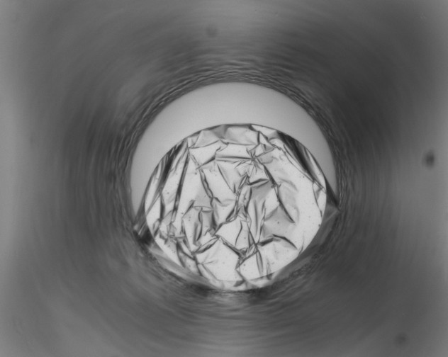 X0000116140221201001041039