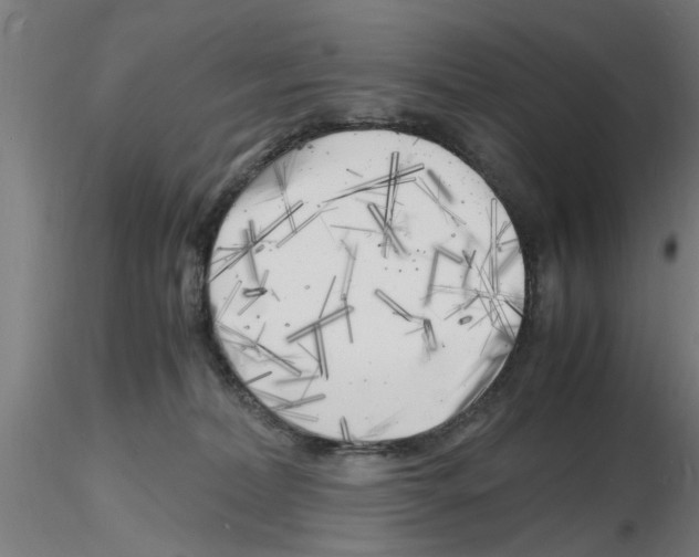 X0000116140228201001041039