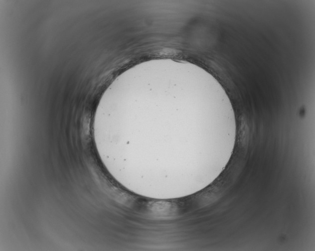 X0000116140230201001041039