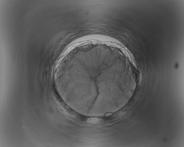 X0000116140231201001041039