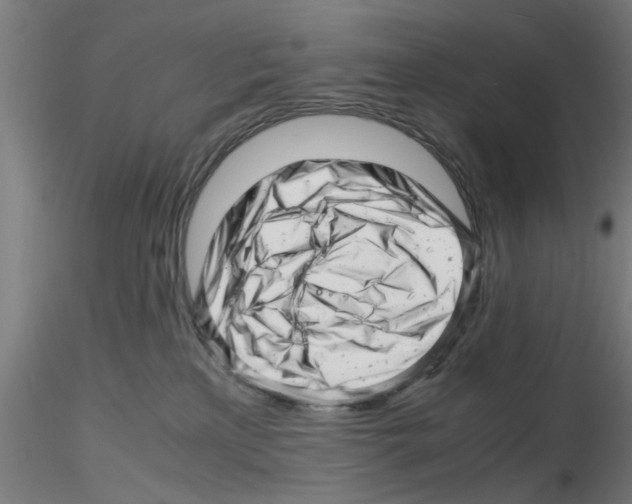 X0000116140233201001041039