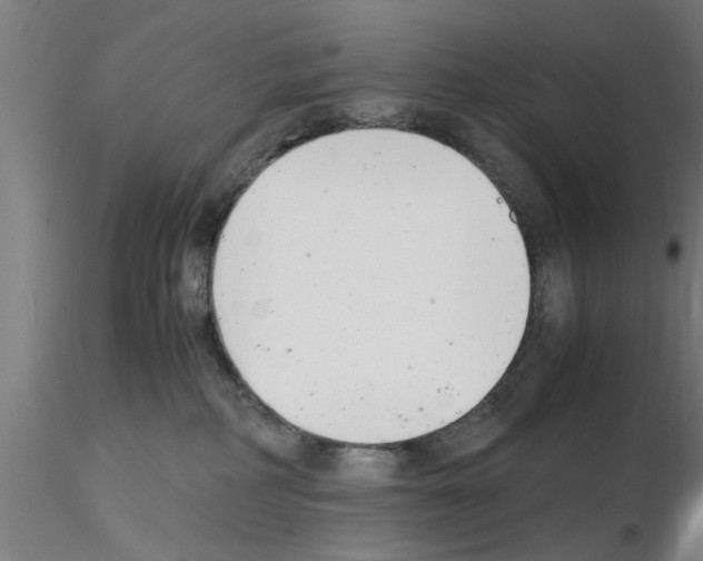 X0000116140234201001041039