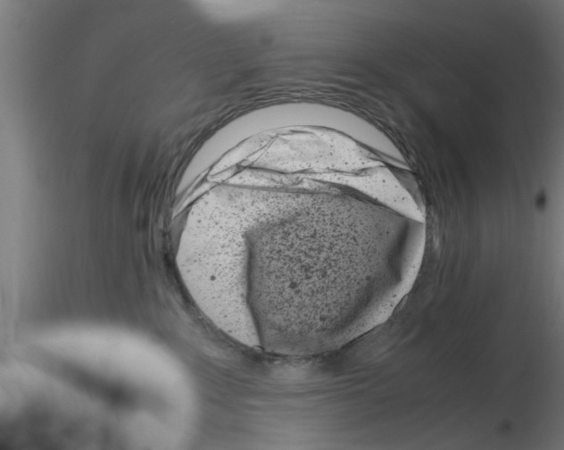 X0000116140235201001041039