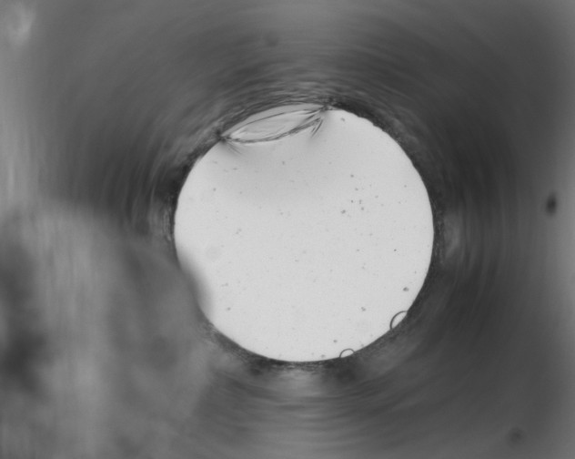 X0000116140236201001041039