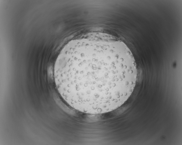 X0000116140238201001041039