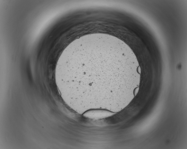 X0000116140239201001041039