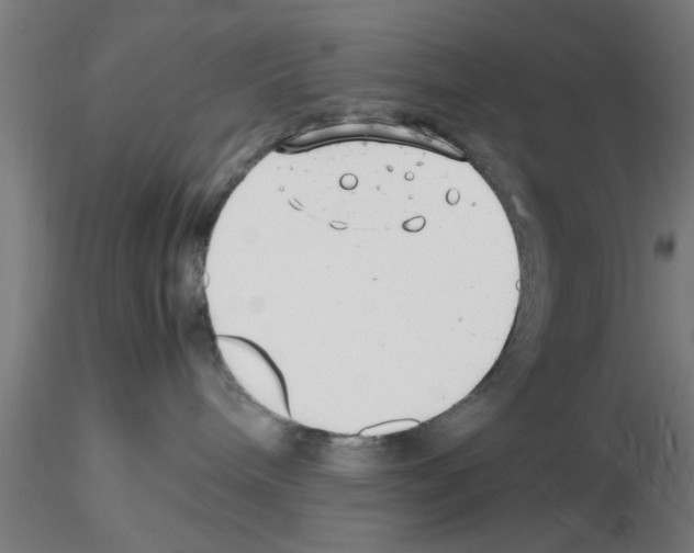 X0000116140240201001041039