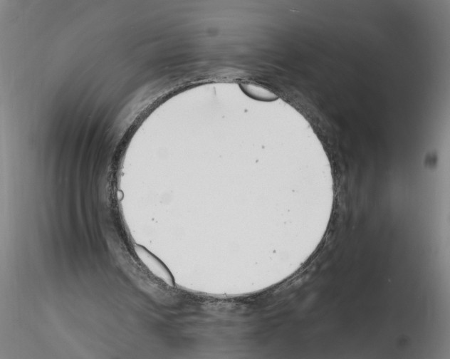 X0000116140242201001041038